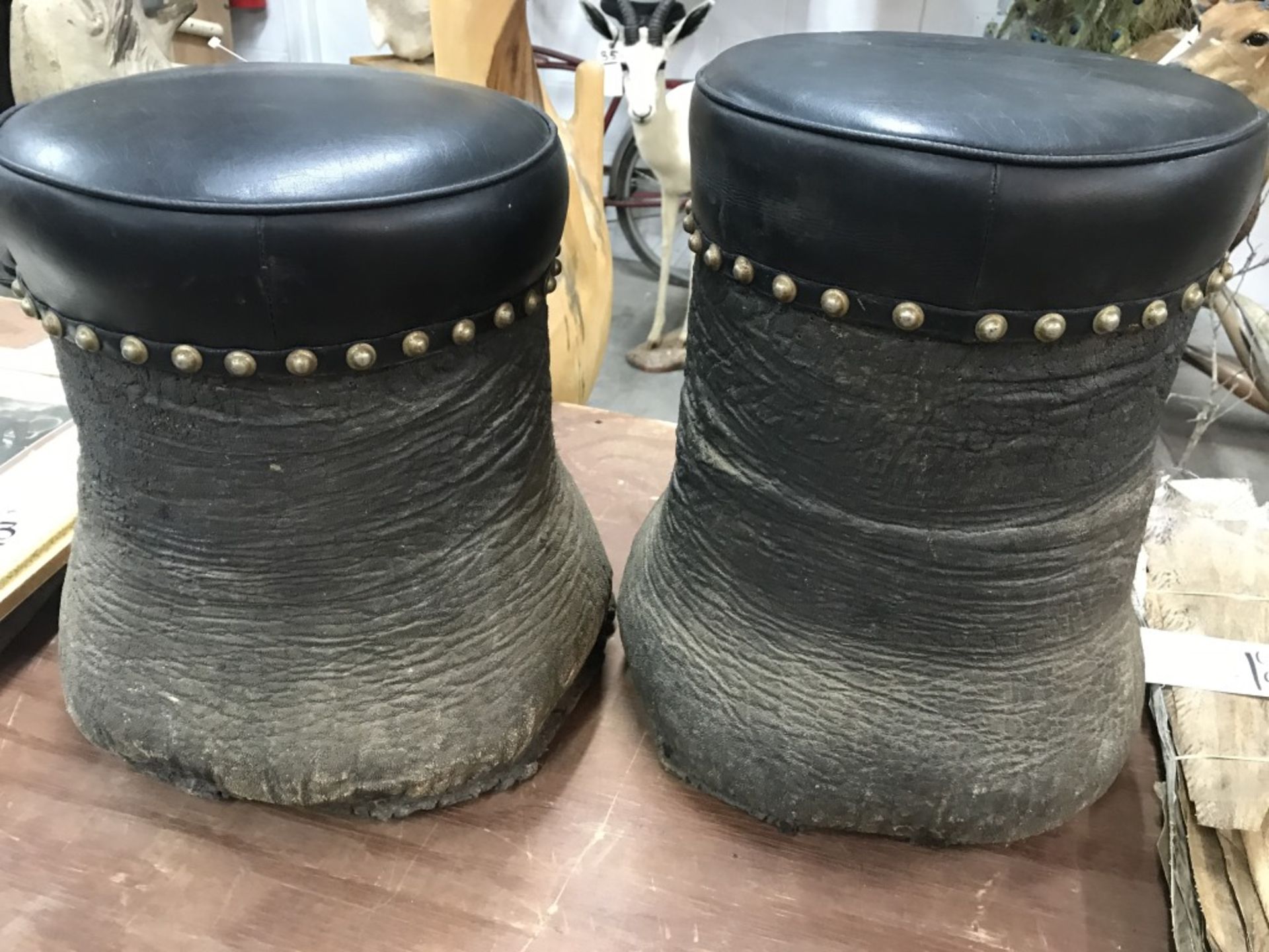 2 Elephant Foot Stools (2X$) (US Res Only) - Image 13 of 13