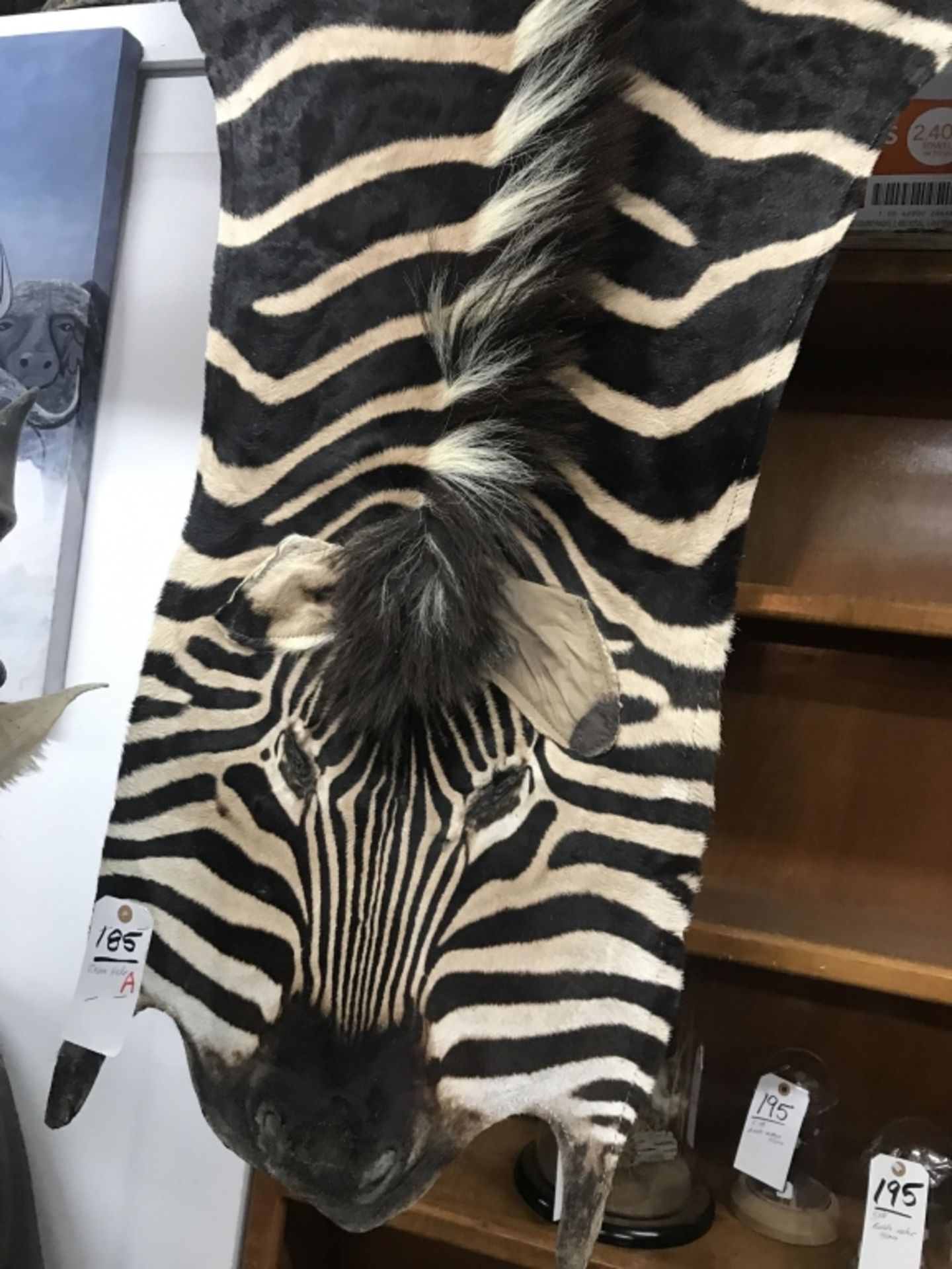 Zebra Hide - Image 3 of 4