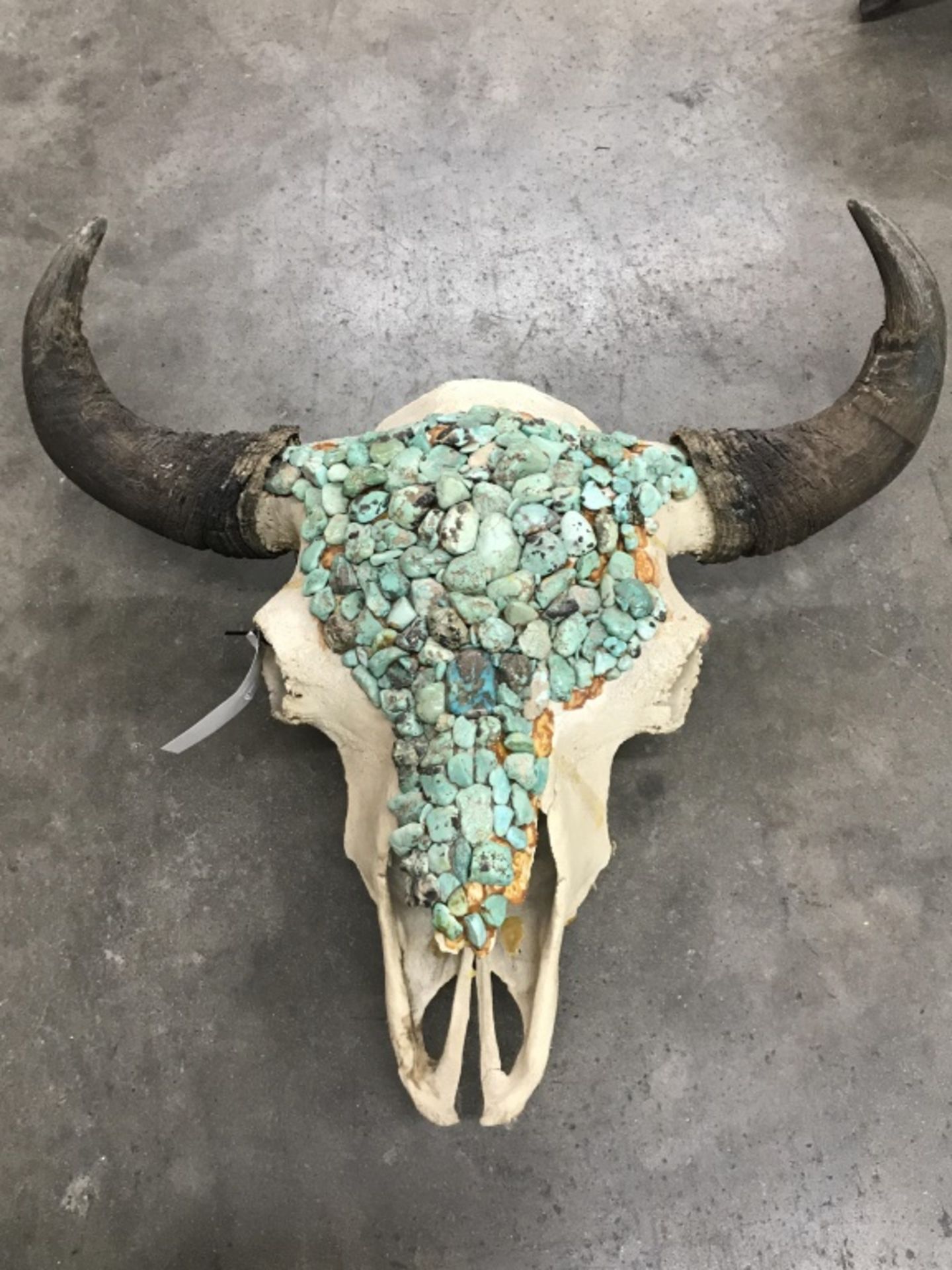 Huge Buffalo Skull w/ Turquoise - Image 2 of 13