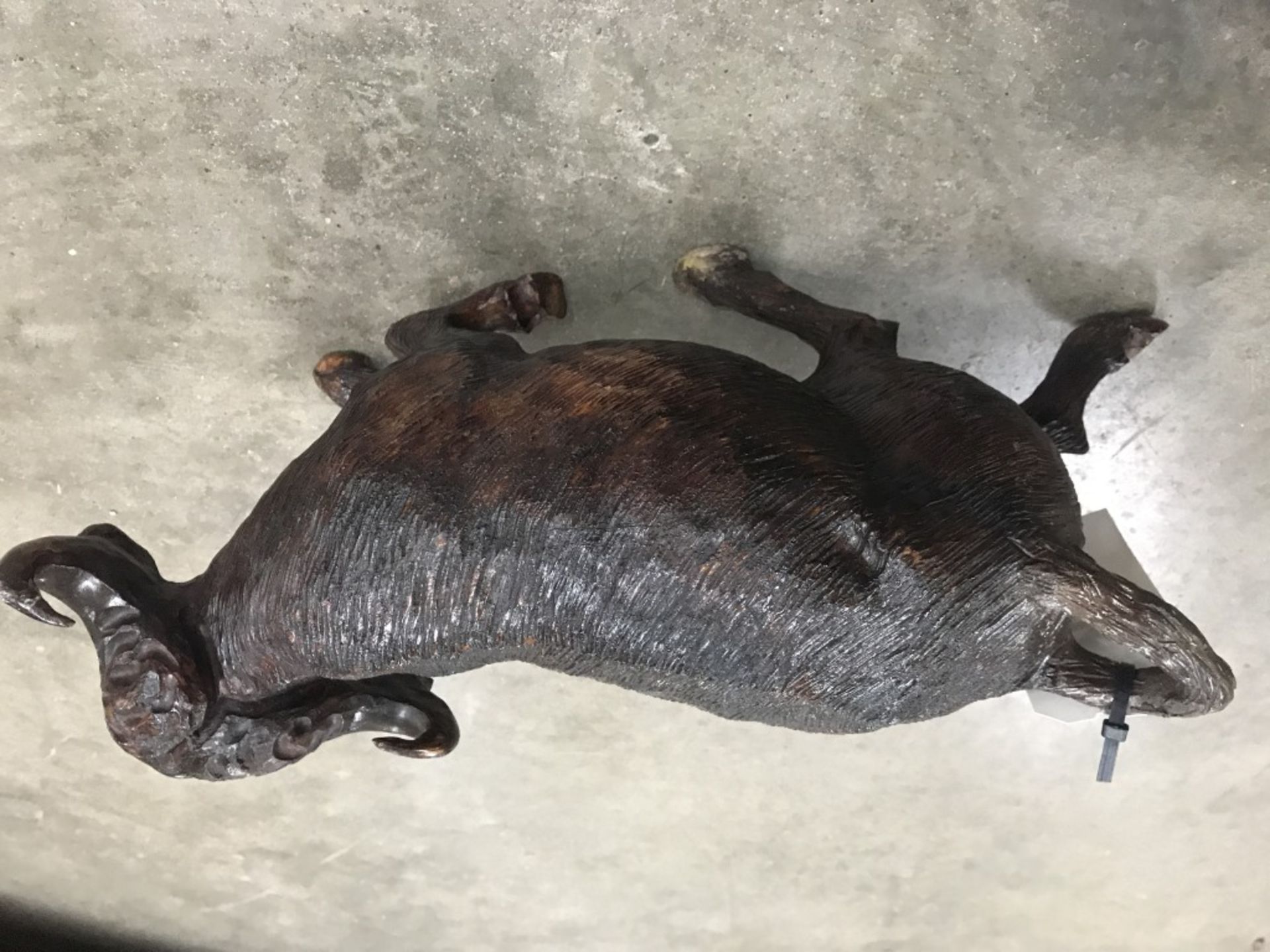 Iron Wood Carved Cape Buffalo - Image 11 of 13