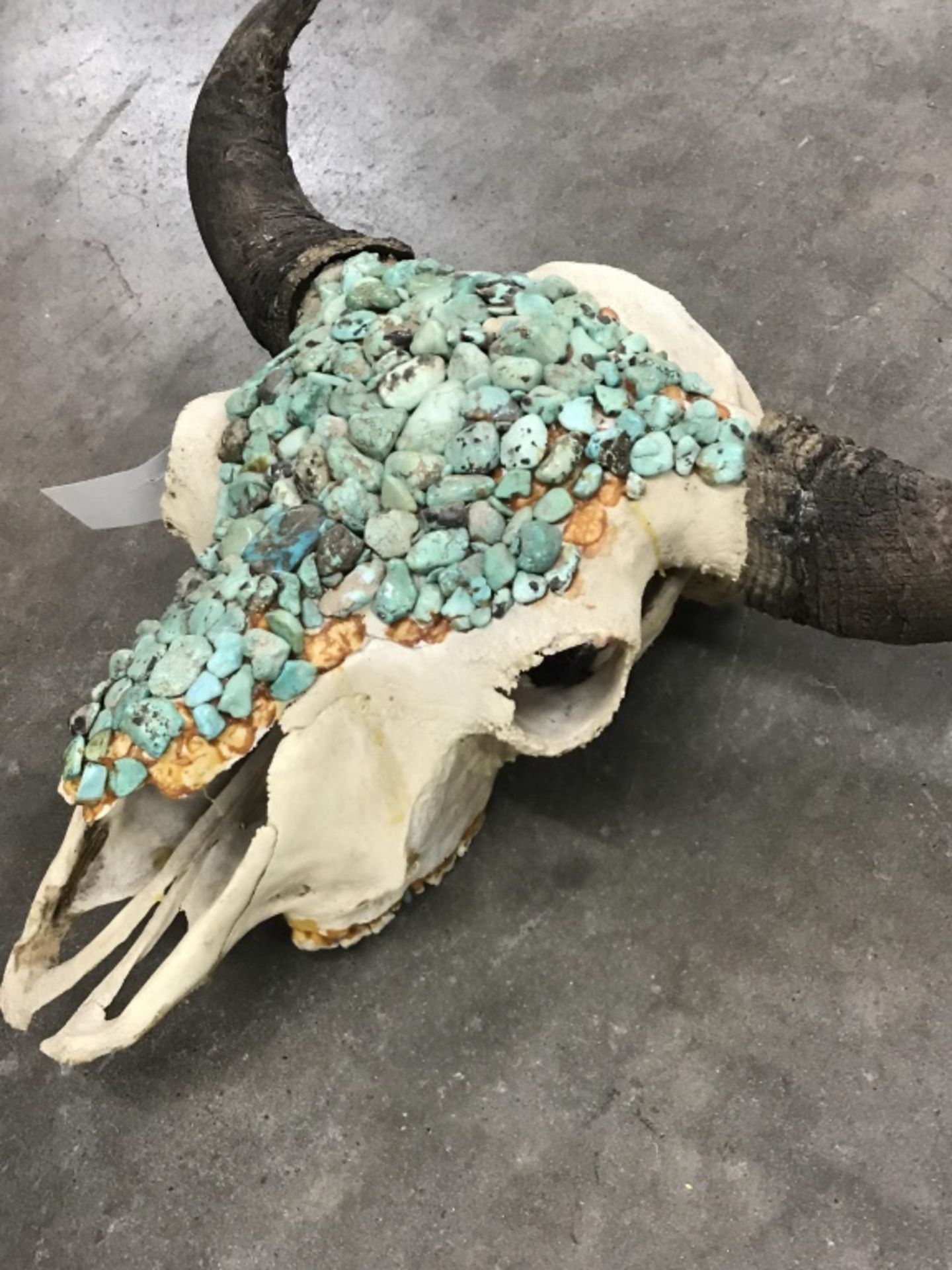 Huge Buffalo Skull w/ Turquoise - Image 9 of 13