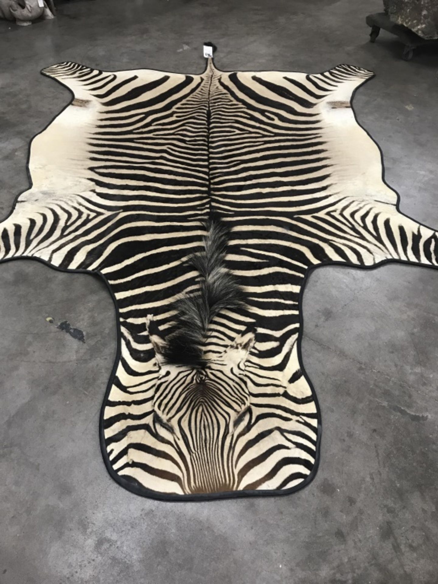 Very Nice Zebra Rug (TX Res. Only) - Image 2 of 13