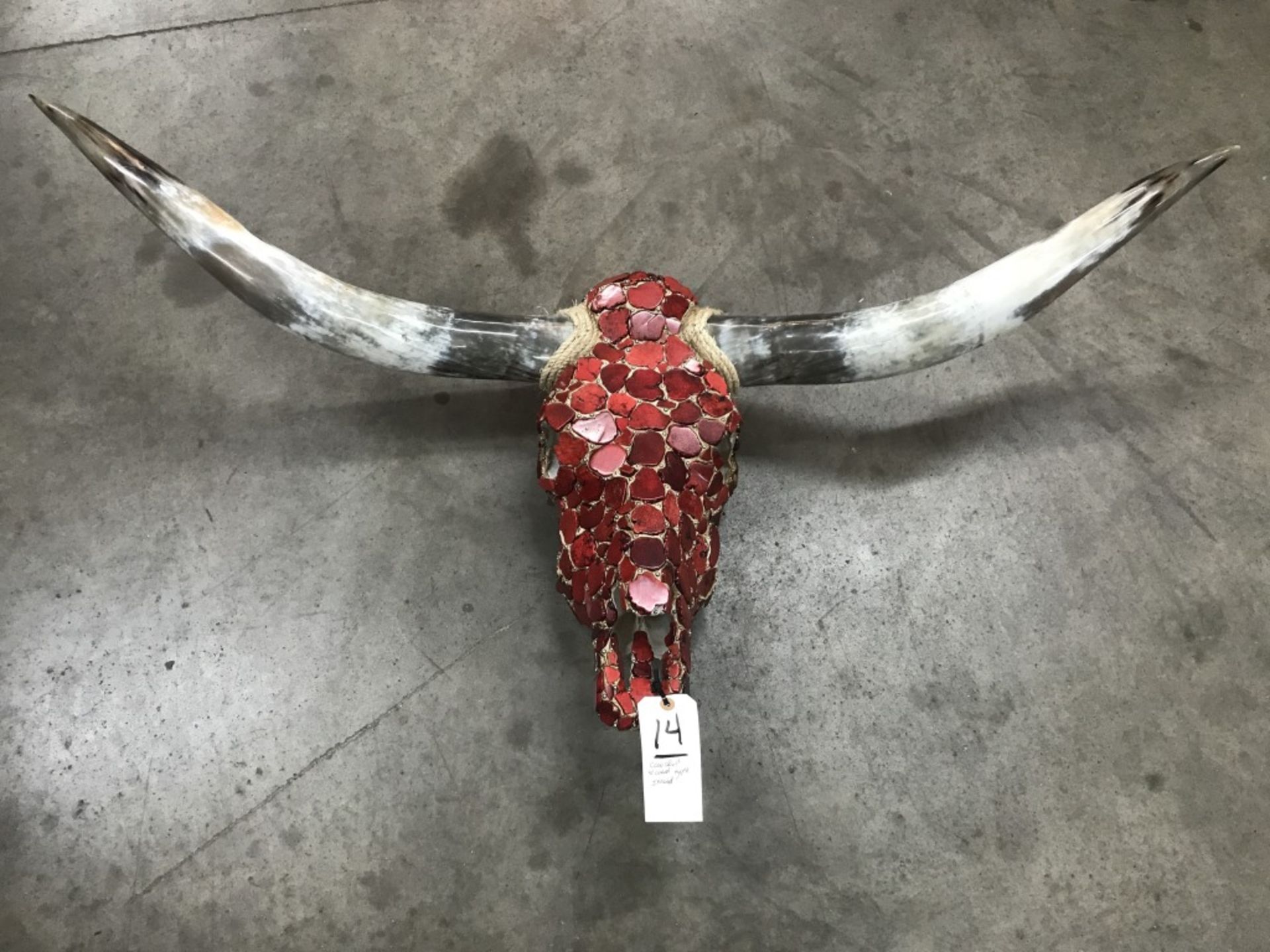 Cowskull w/Coral Color Inlay - Image 4 of 17