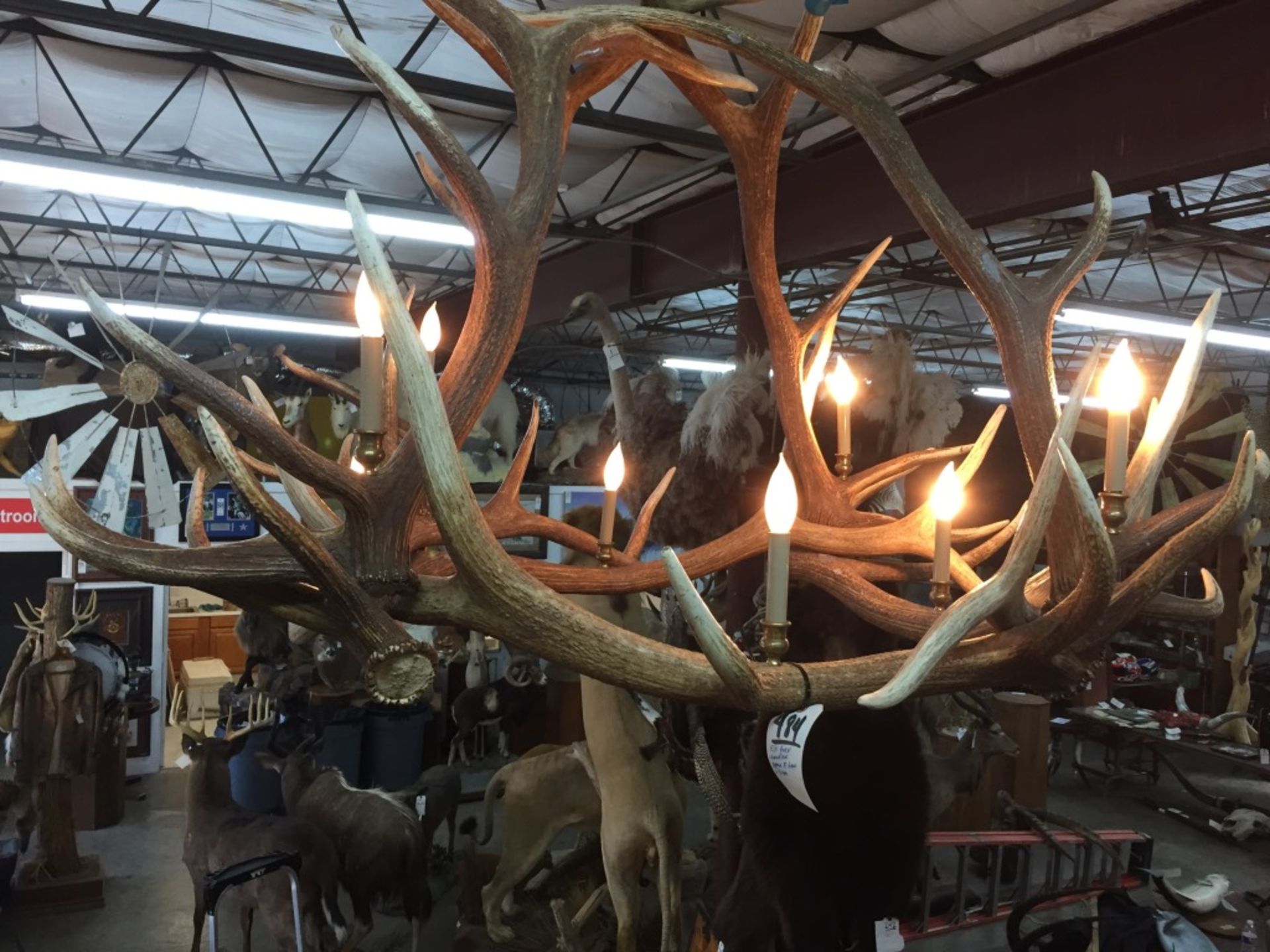 Elk Chandelier w/ 8 Lights - Image 2 of 4