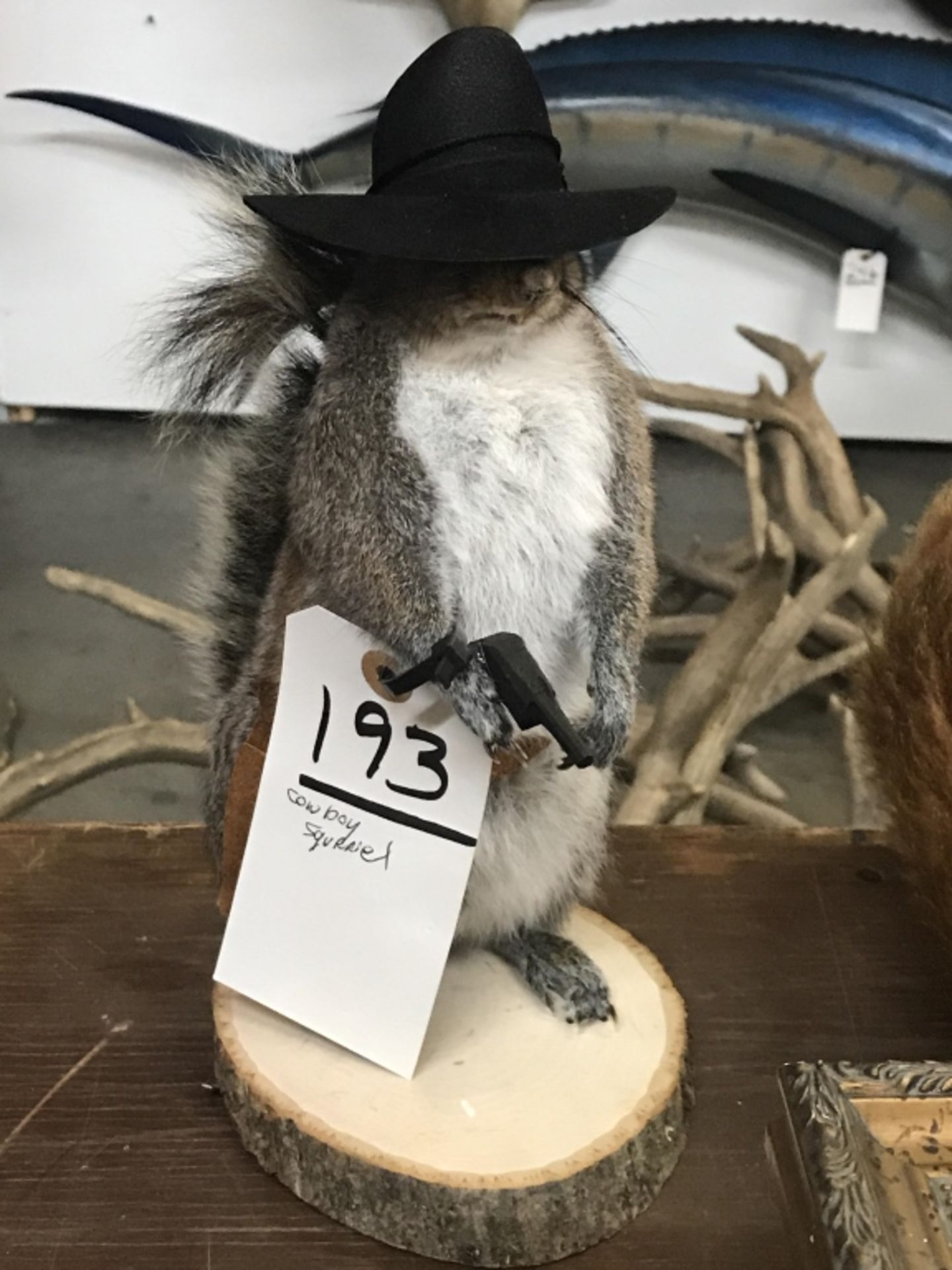 Cowboy Squirrel - Image 6 of 17