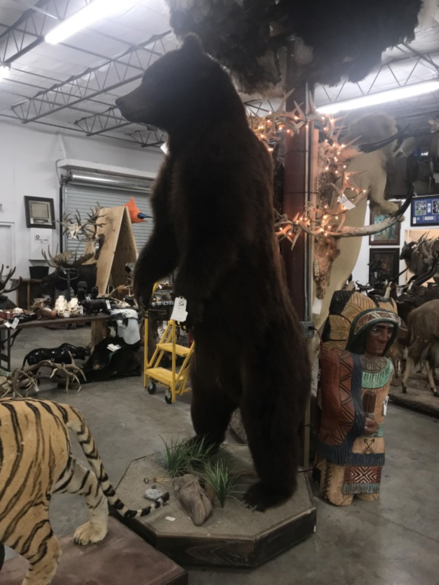 Life Size Awesome Brown Bear - Image 11 of 22