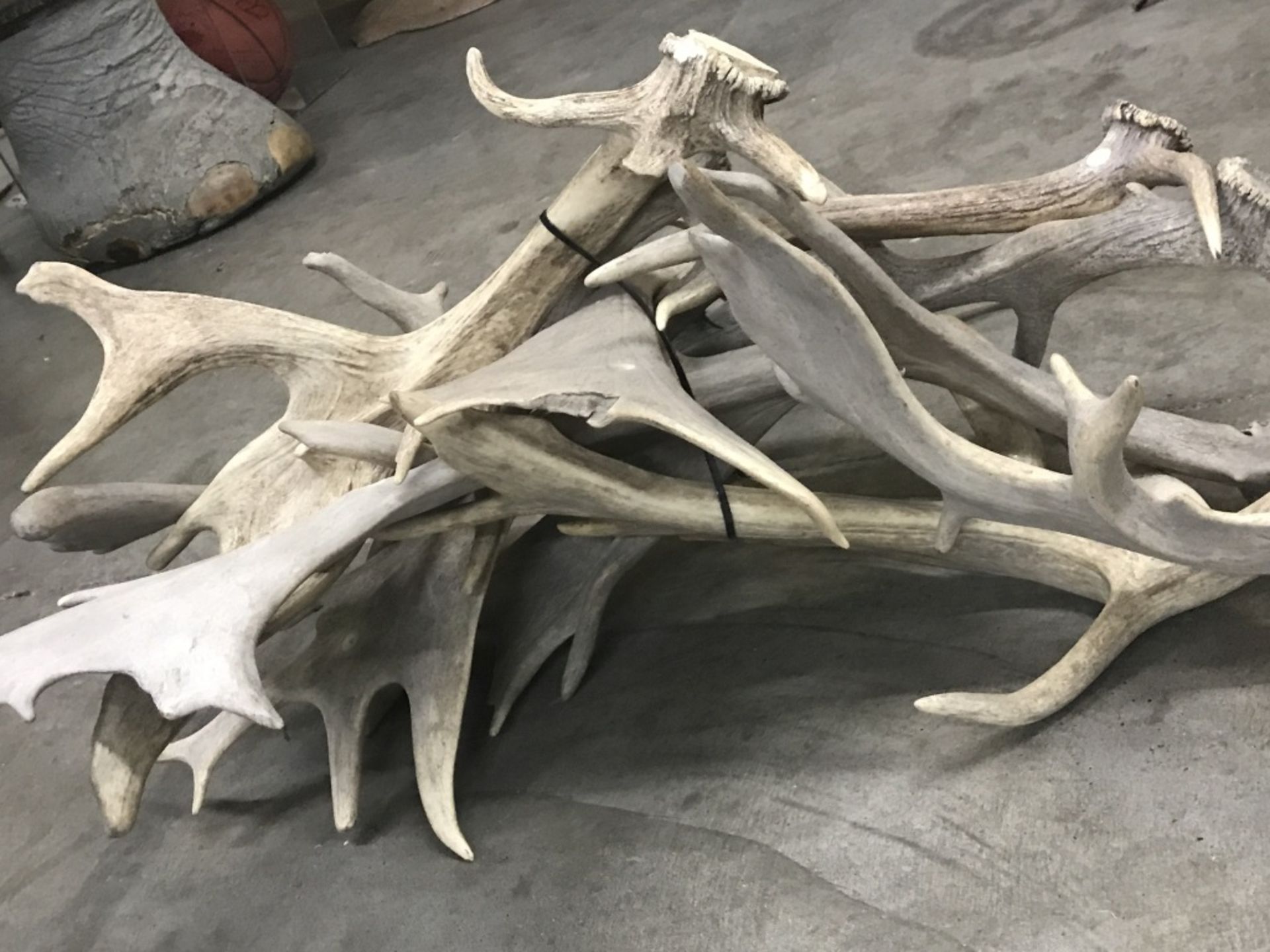 8 Fallow Sheds (8X$) (Some Have Drill Holes) - Image 11 of 13