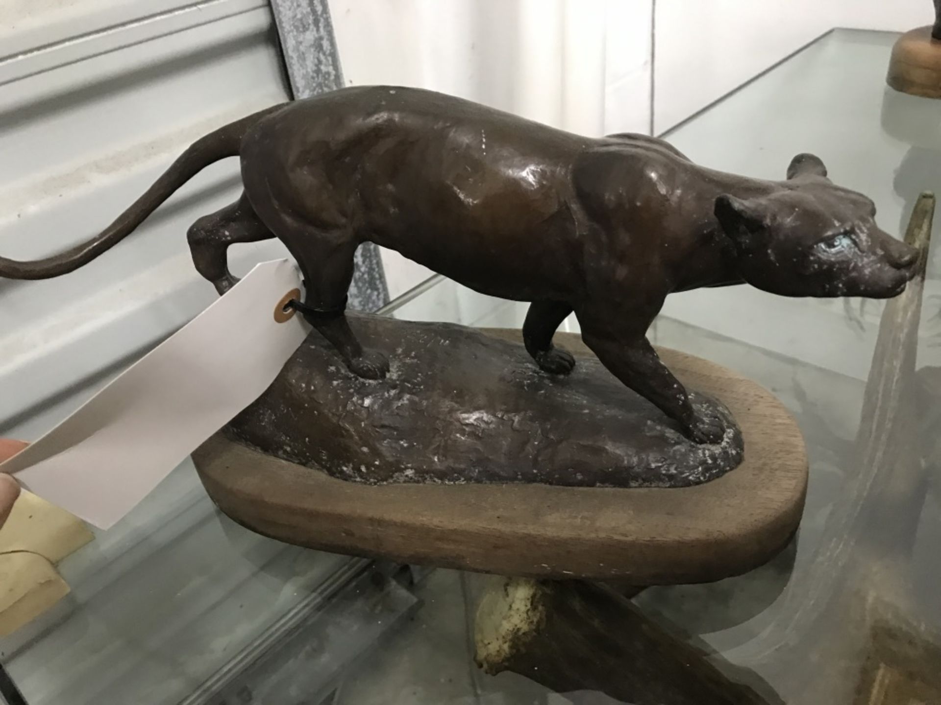 Cougar Bronze Marked AP - Image 2 of 16