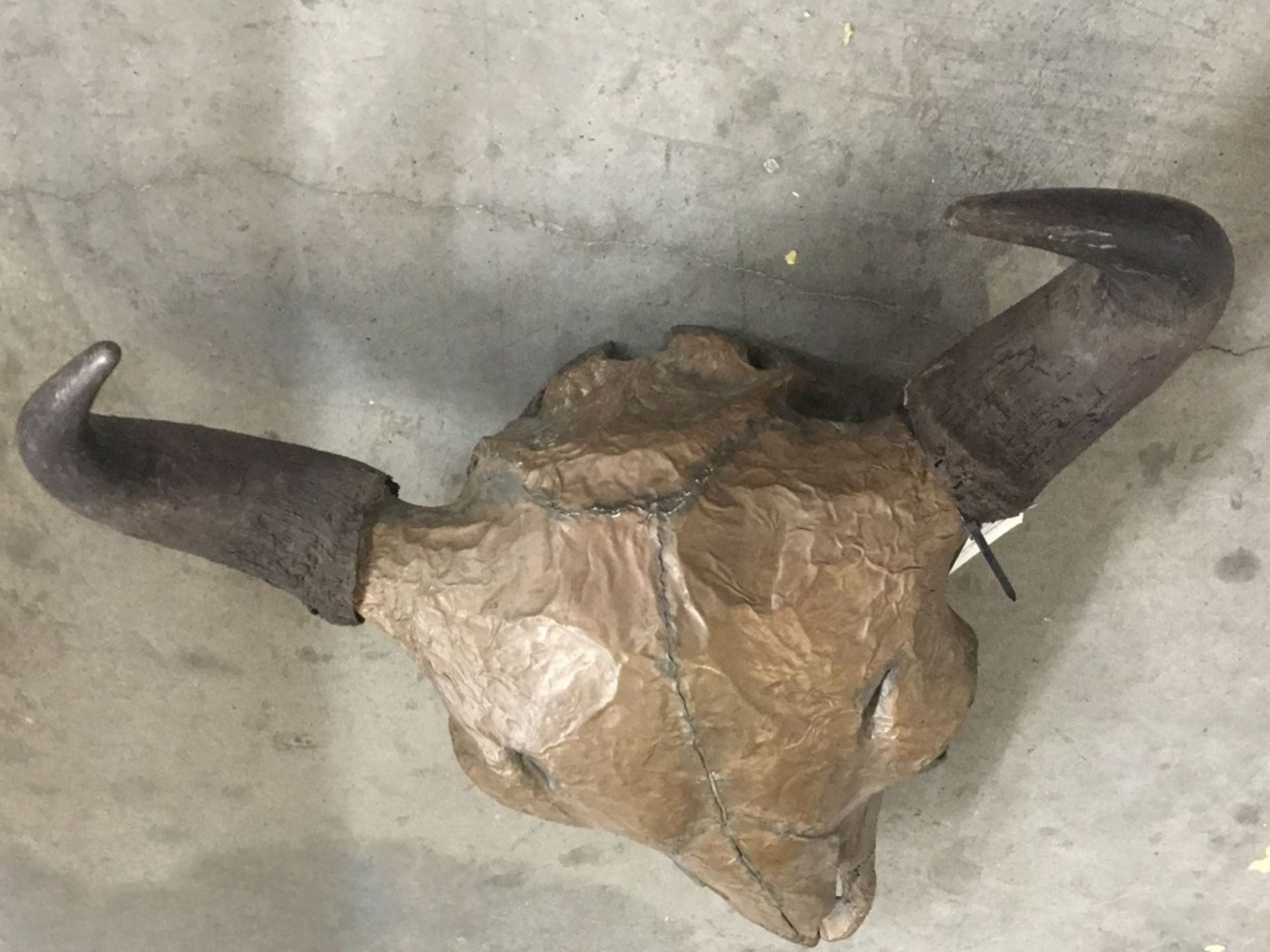 Copper Wrapped Buffalo Skull - Image 10 of 10