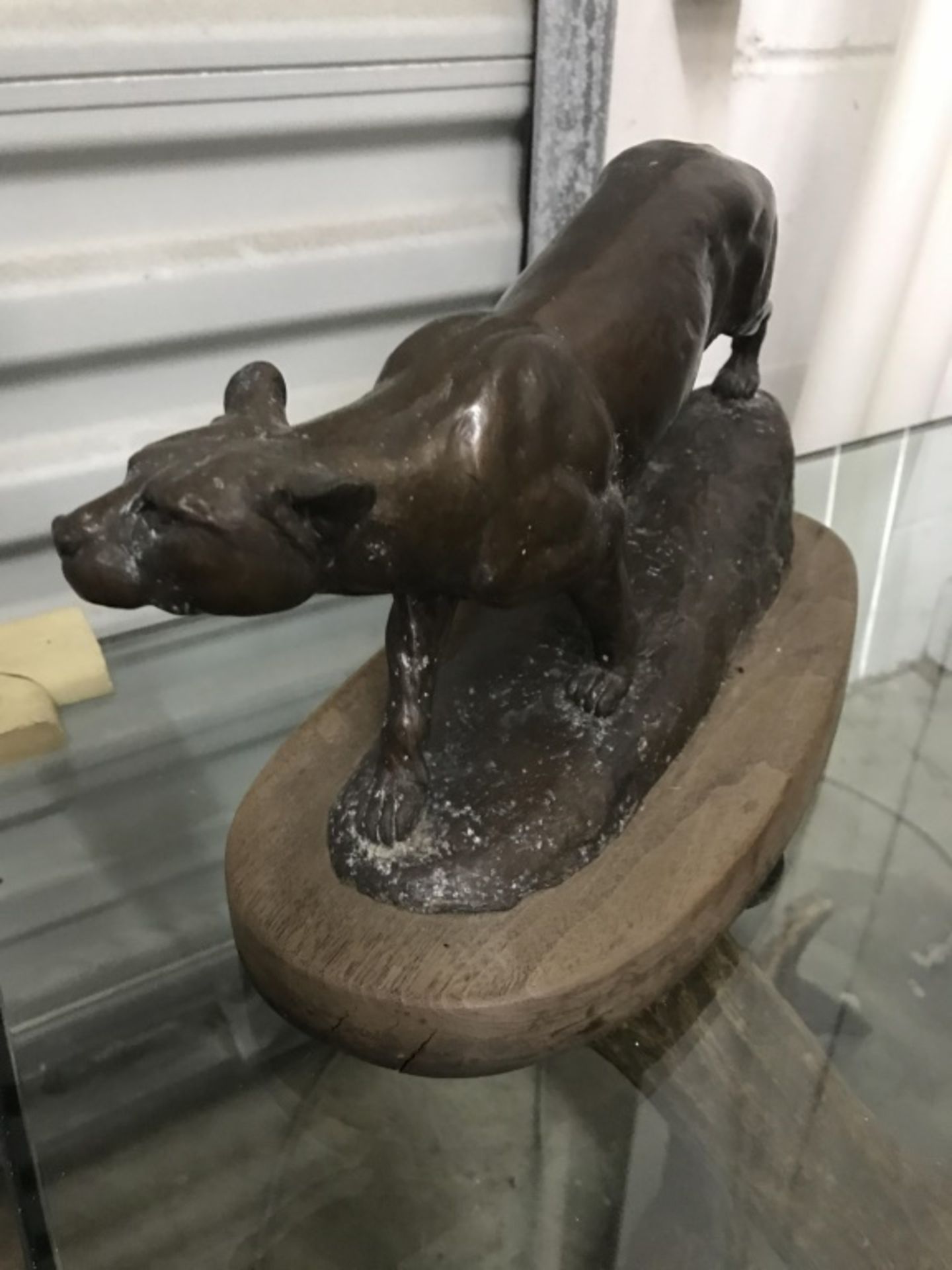 Cougar Bronze Marked AP - Image 6 of 16