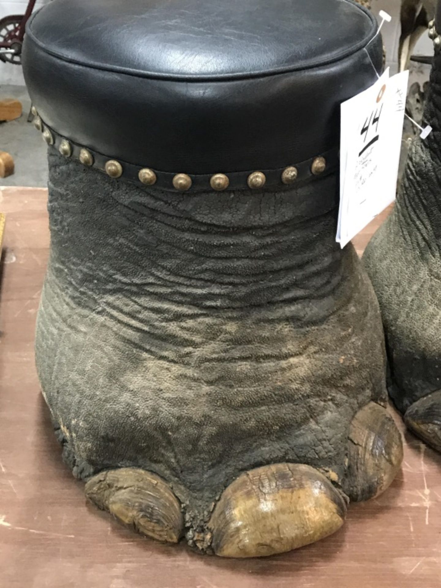 2 Elephant Foot Stools (2X$) (US Res Only) - Image 7 of 13