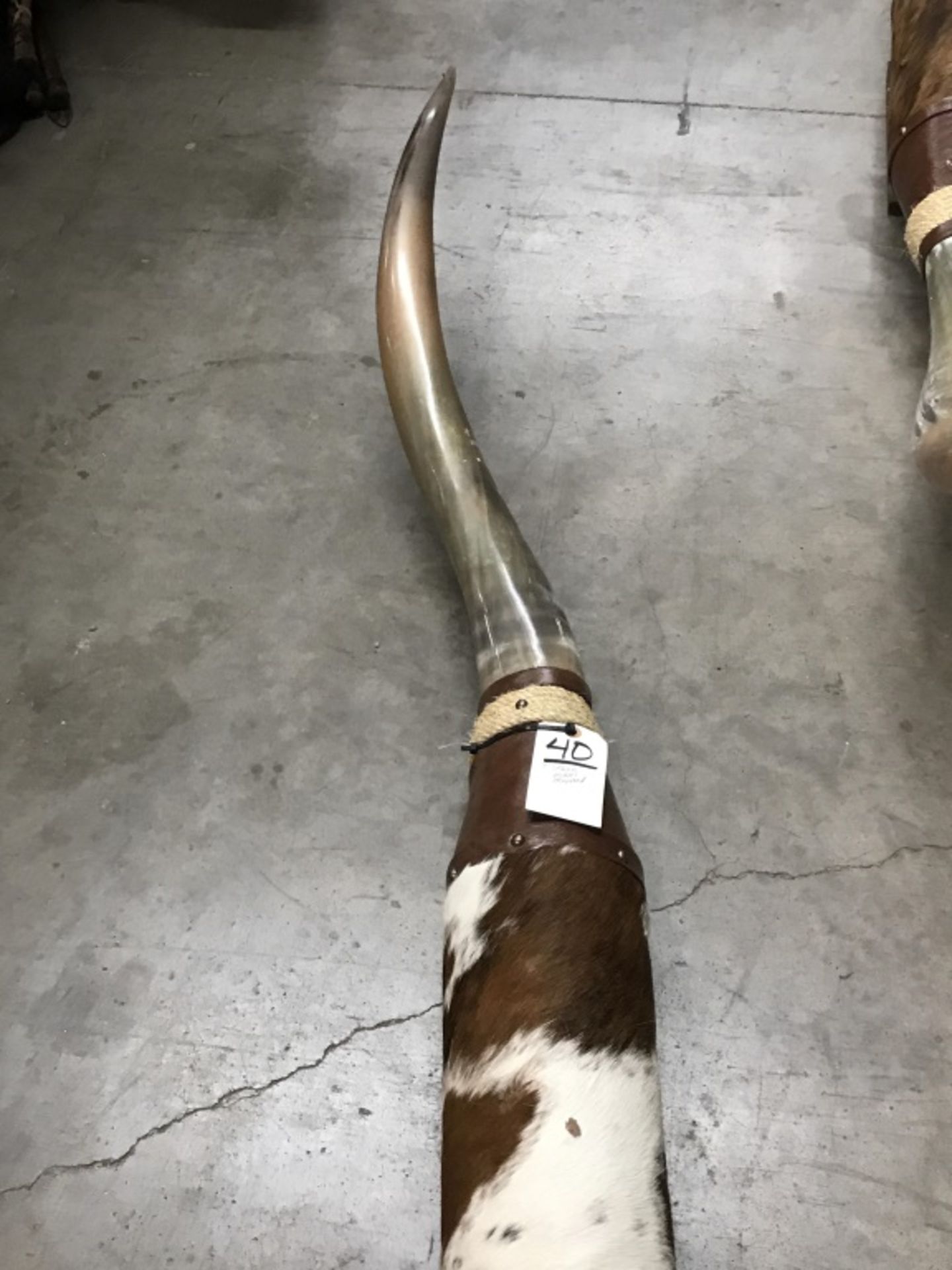 7' Mounted Steer Horns - Image 10 of 10