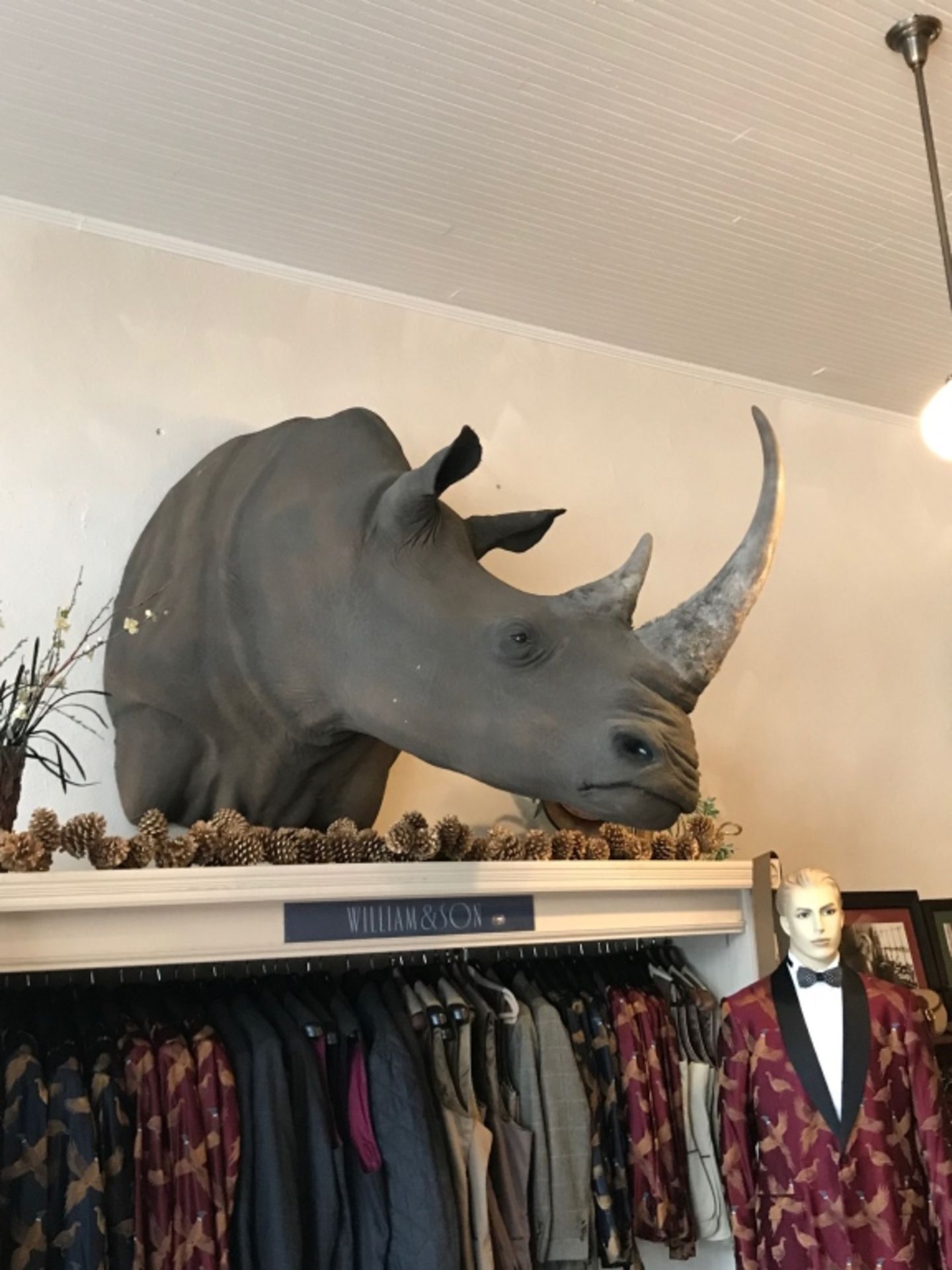 White Rhino Shoulder Mt. (TX Residents Only)