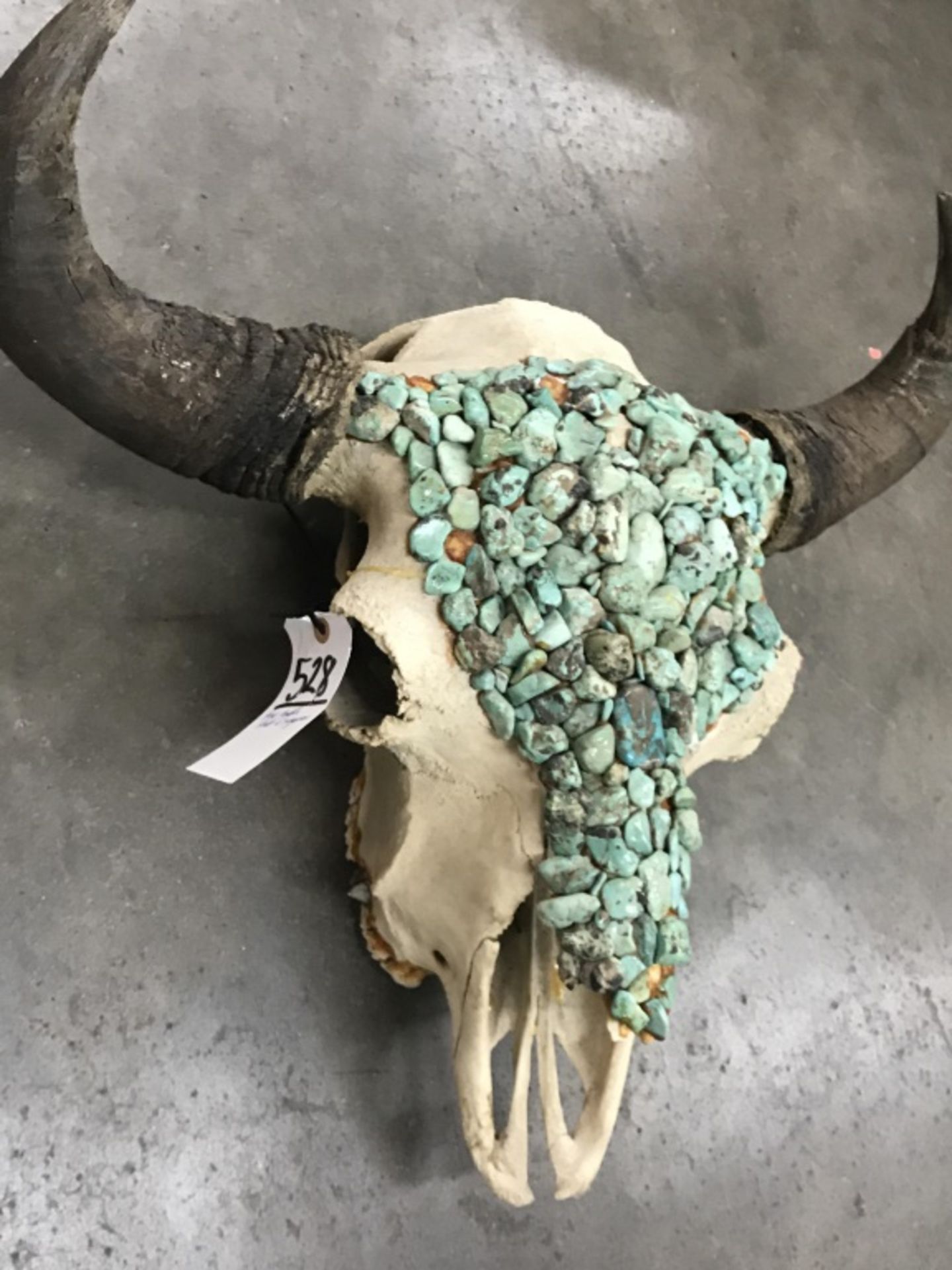 Huge Buffalo Skull w/ Turquoise - Image 7 of 13