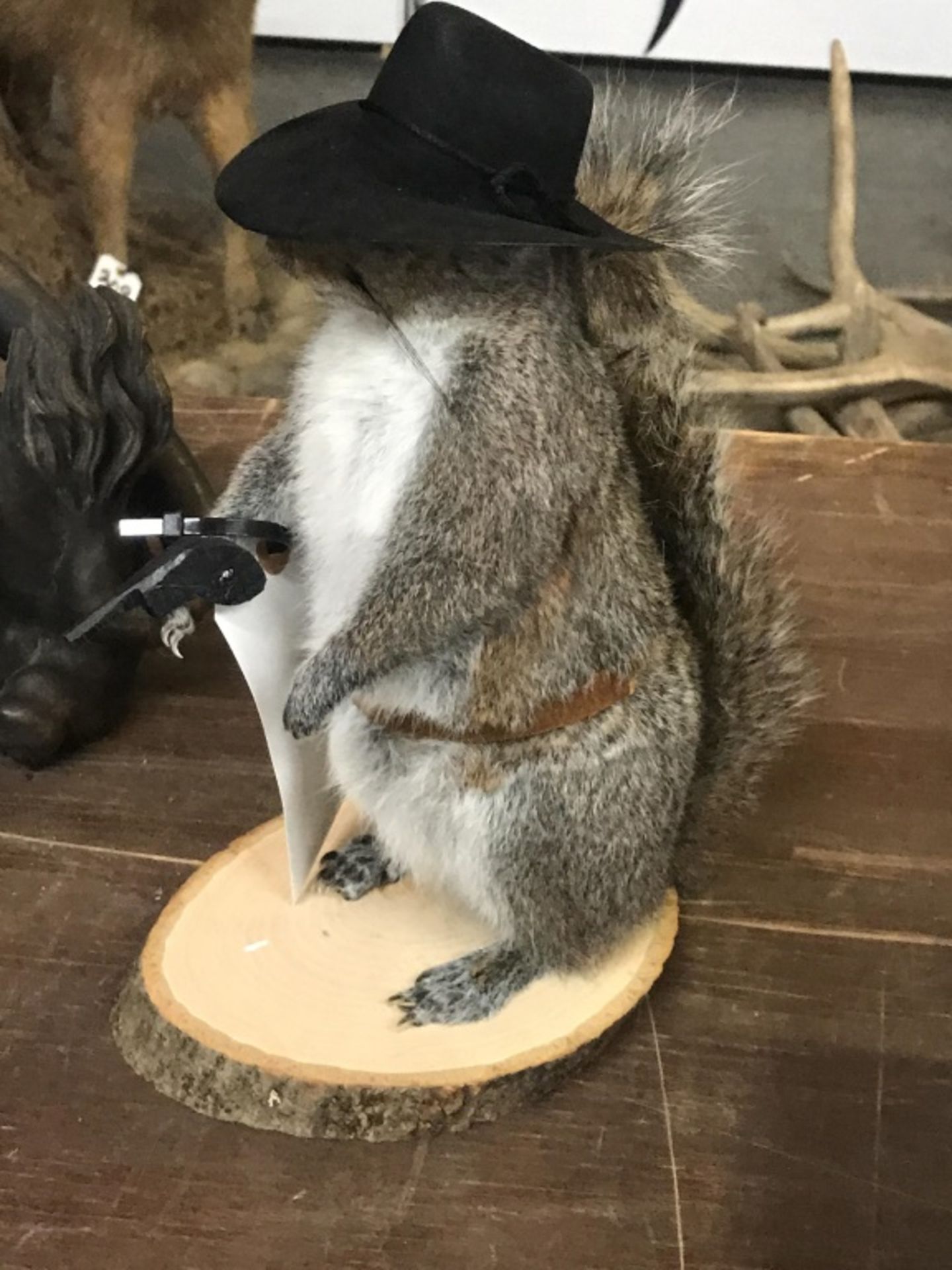 Cowboy Squirrel - Image 10 of 17