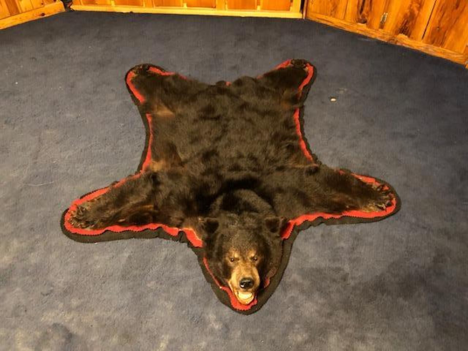 Large Black Bear Rug - Image 4 of 4