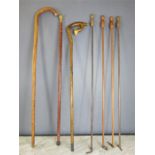 A group of walking canes.