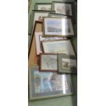 A group of pictures to include watercolours, landscapes, botanical studies, tapestry/needlework