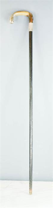 A horn and silver 19th century walking cane, having an ebonised stick.
