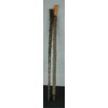 Two antique briers walking canes, one with polished handle 95cm long.