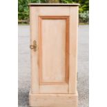 A pine side cupboard, with panelled door and interior shelf.