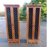 A pair of cupboards / CD racks, with iron grilles to the two doors.