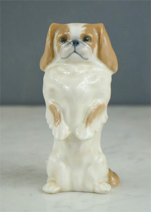 Royal Copenhagen Denmark porcelain King Charles Spaniel, no 1776 CV.