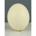 An ostrich egg.