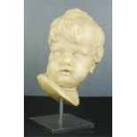 An 18th century Italian carved putto / cherub head, raised on a modern metal stand, 31cm high,