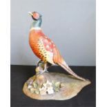A Royal Doulton porcelain pheasant, LI 29 by 30cm.