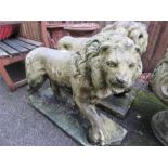 A pair of antique stone lions.