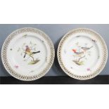 A pair of porcelain continental plates, depicting birds and insects, with pierced continental rim.