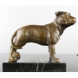 A bronze Staffie dog.