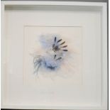 Blue Bird, mixed media, box frame, indistinctly signed in pencil, 49 by 49cm.