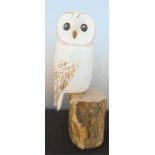 A wooden carved owl on stand and a ceramic model oyster catcher. (2)