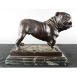 A bronze bull dog.