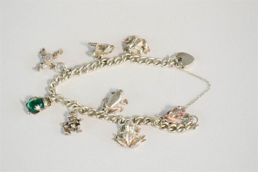 A silver charm bracelet, with various style silver frog charms.