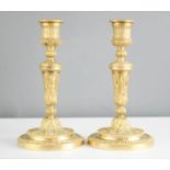 A pair of small brass candlesticks, ormolu.