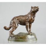 A spelter cold painted dog, C Valton signature to the base.