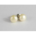 A pair of pearl earrings.