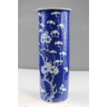 A blue and white Chinese vase, depicting prunus blossom. 25cm high