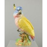 A Beswick parrot.