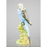 A Beswick Budgie no.1216.