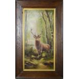 An oil on canvas, depicting a stag in woodland, unsigned.