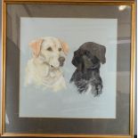 Joy Claxton 1984, pastel sketch/portrait Black and Yellow labrador, 51 by 49cm.