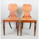 A pair of 19th century mahogany hall chairs.