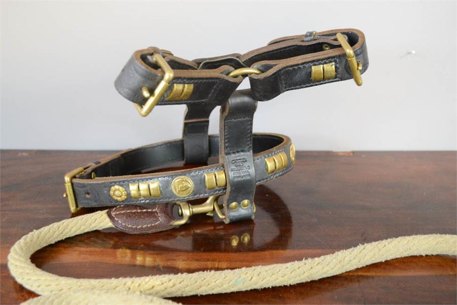 An antique leather dog harness, embellished with brass studs. - Image 2 of 2