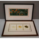 Two photographic prints, one depicting poppies, the other leaves.