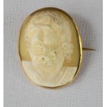 A cameo in gold (unmarked) brooch setting, classical male head portrait.