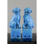 A pair of Chinese blue ceramic dogs of fo.